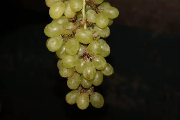Вибіркове Зображення Букету Висячого Зеленого Винограду Чорному Тлі — стокове фото