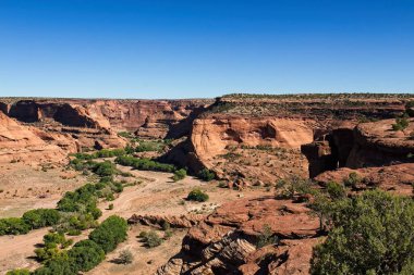 Chelle Kanyonu, Arizona manzarası. Ön planda ardıç ağaçları ve kanyon zemininde kuru bir dere boyunca yeşil ağaçlar..