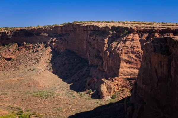 Canyon Chelly Arizona Med Träd Toppen Platån Och Ravinen — Stockfoto