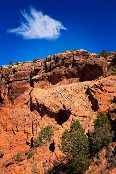 Rock Face Canyon Chelly Arizona Cloud Blue Sky Evergreens Foreground — Stock fotografie