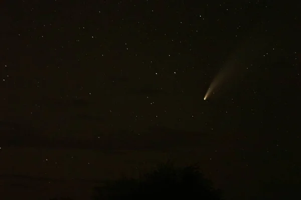 Comet Neowise Noční Obloze — Stock fotografie