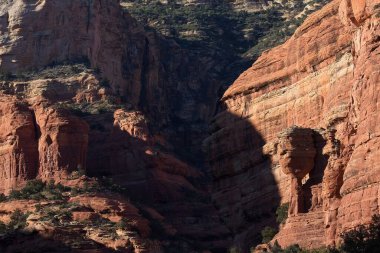 Sedona, Arizona 'nın Kızıl Kayalıkları' ndaki Fay Kanyonu 'nda tuhaf bir kaya sütunu. Ön planda yeşil ardıç yetişiyor..