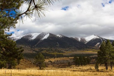 Valley with snowy mountains in the background, white clouds in a vivid blue sky and bare tree branches in the foreground. Flagstaff, Arizona. clipart