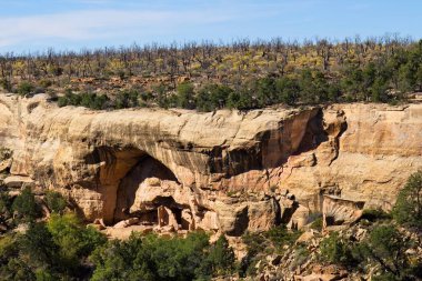 Yerli Amerikan harabeleri bir uçuruma inşa edildi. Mesa Verde Ulusal Parkı, Colorado.