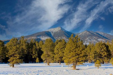 Mt. Kışın Humphrey 'ler üstte kar ve ön planda kardan adamlar, Flagstaff, Arizona