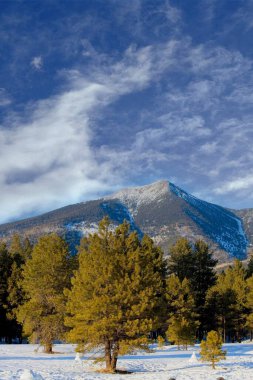Mt. Kışın Humphrey 'ler üstte kar ve ön planda kardan adamlar, Flagstaff, Arizona.