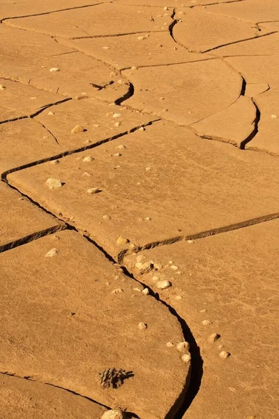 Çatlamış, kurumuş çamur ve çamura saplanmış çakıl taşları, Flagstaff, Arizona.