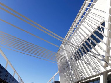 Phoenix, Arizona 'da beyaz fütürist bir binanın ilginç bir mimarisi var..