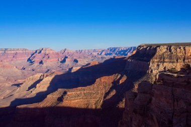 Arizona, Büyük Kanyon 'da ölü bir ağaç..