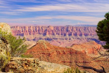 Point Imperial yolu boyunca kayaların manzarası, Kuzey Rim, Büyük Kanyon, Arizona. Çam ağaçları kayaları çerçeveliyor.