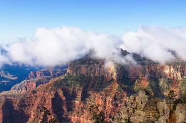 Fog rolling over the edge of the North Rim of the Grand Canyon, Arizona. clipart