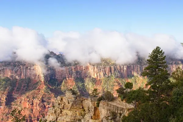 Arizona, Büyük Kanyon 'un kıyısında sis var..