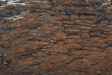 Mormon Gölü, Arizona yakınlarındaki Ledges Yolu 'nda tuhaf bir kaya oluşumunun yakın çekimi..