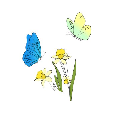 Narcissus çiçeklerinin altında uçan kelebek. Çizgi çizimi. Baharın sembolü, Paskalya. El çizimi vektör illüstrasyonu.