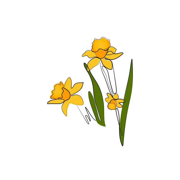 Fleurs Narcisse Daffodile Dessin Trait Symbole Printemps Pâques Illustration Vectorielle — Image vectorielle