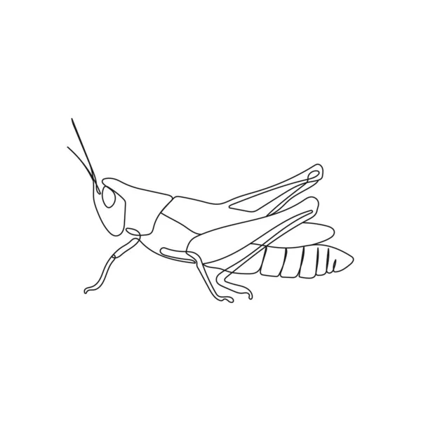 Heuschreckeninsekt Stil Einer Linienzeichnung Minimale Von Hand Gezeichnete Vektorillustration — Stockvektor
