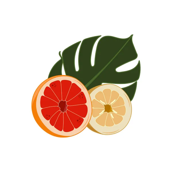 Citrusvruchten Tropisch Blad Snijd Helft Van Citroen Grapefruit Vectorillustratie — Stockvector
