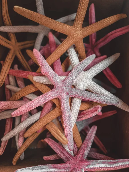 starfish in a wicker basket on a white background