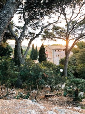 G6 ayarlı VSCO ile işlendi