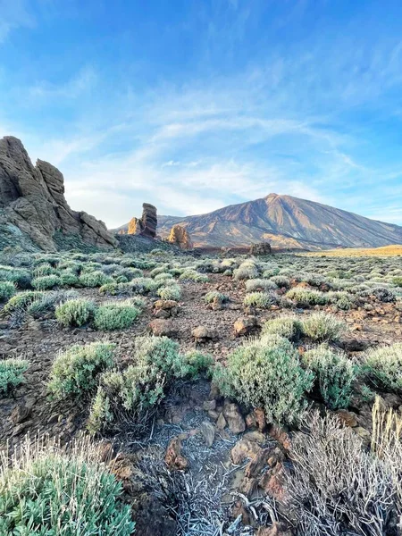 Arka plandaki ölü deniz vadisinin güzel manzarası.