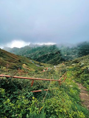 G6 ayarlı VSCO ile işlendi