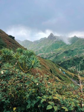açık hava manzarasının resimsel görüntüsü