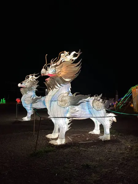 beautiful dragon in the city