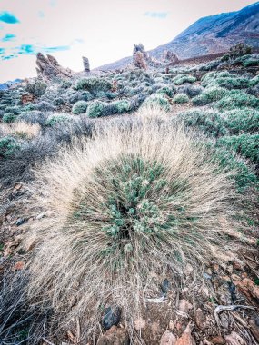 Dağların güzel manzarası