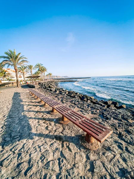 Palmiye ağaçları ve mavi gökyüzü olan güzel sahil