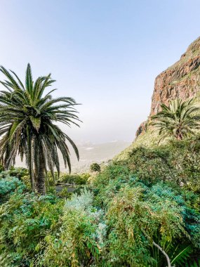 Dağların güzel manzarası