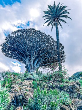 Doğanın güzel manzarası