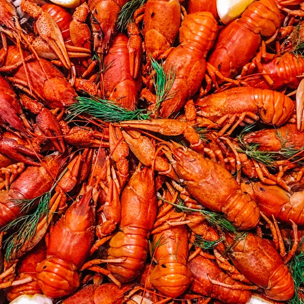 Beyaz arka planda dereotlu ve maydanozlu haşlanmış kerevit.