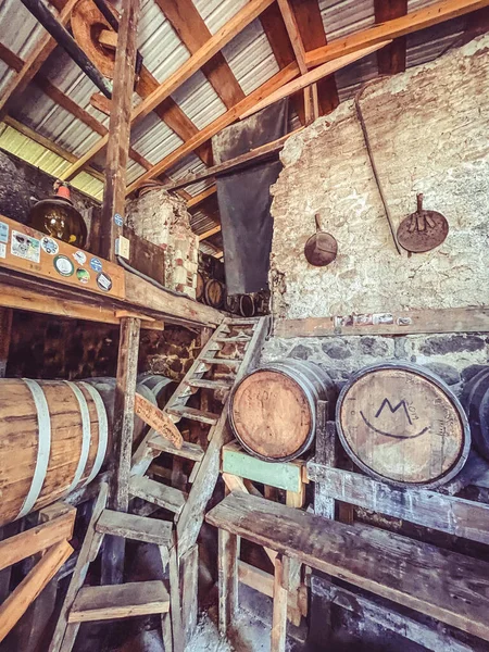 Старые Деревянные Бочки Подвале — стоковое фото