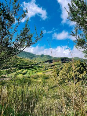 Arkasında bir dağ olan güzel bir manzara.