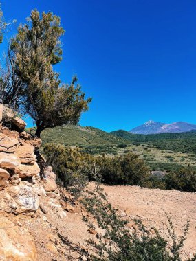 Dağların güzel manzarası