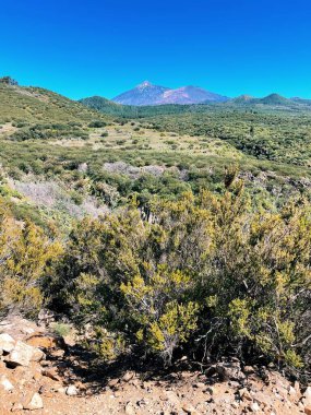 Tide Ulusal Parkı, Tenerife, Kanarya Adaları, İspanya