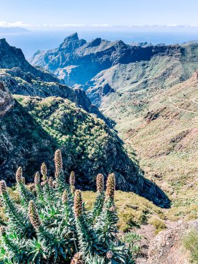 Dağların güzel manzarası