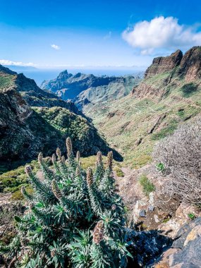 Dağların güzel manzarası