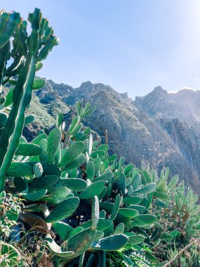 Dağların güzel manzarası