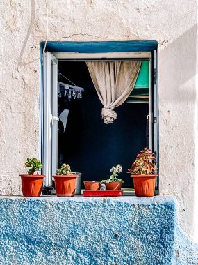 Mavi panjurlu ve çiçekli bir pencere.