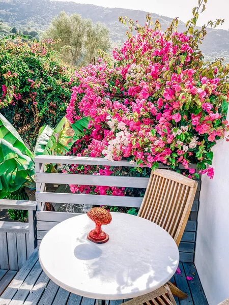 beautiful outdoor patio with flowers and chairs