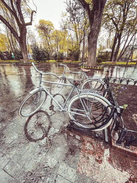 Bisikleti bahçeye park ettim.