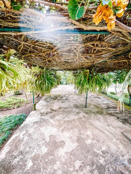 Parkın güzel manzarası