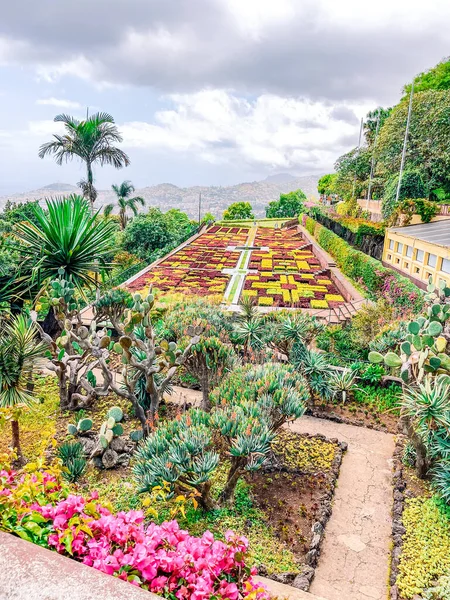 Güzel botanik fotoğrafı, doğal duvar kağıdı.