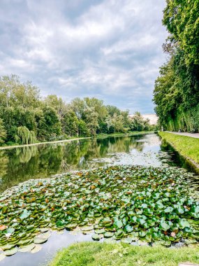 Parkta nehri olan güzel bir manzara.