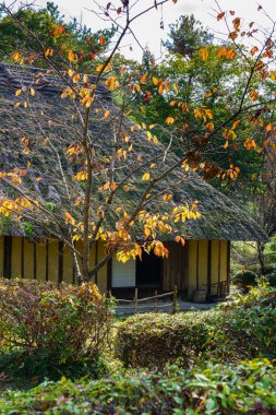 Japon geleneksel ahşap evi