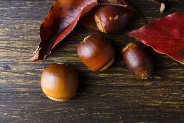 Ahşap arka planda meşe palamutları ve düşmüş yapraklar