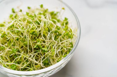 İzole üzerinde beyaz arka plan brokoli filizi