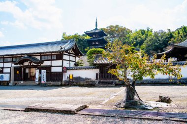 Katsuragi şehrindeki Taima-dera tapınağı, Japonya 'daki Nara bölgesi. (10-17-2023 'te çekildi.)