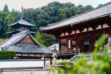 Katsuragi şehrindeki Taima-dera tapınağı, Japonya 'daki Nara bölgesi. (10-17-2023 'te çekildi.)